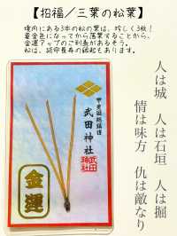 【山梨県/武田神社】武田信玄を祀る武田神社