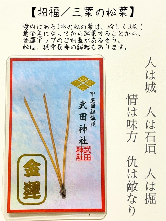 【山梨県/武田神社】武田信玄を祀る武田神社
