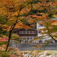  Korankei จุดชมใบไม้เปลี่ยนสีที่สวยมากในญี่ปุ่น