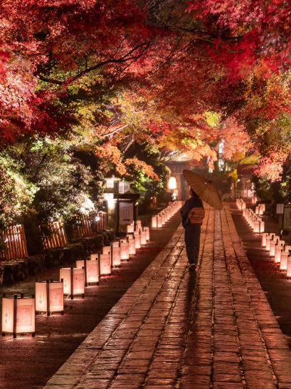 4年ぶりの再開も！😳】滋賀県の紅葉スポットが絶景すぎる！🍁✨ | Trip