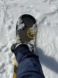 Niseko สัมผัสอากาศหนาวที่หิมะที่นุ่มที่สุด