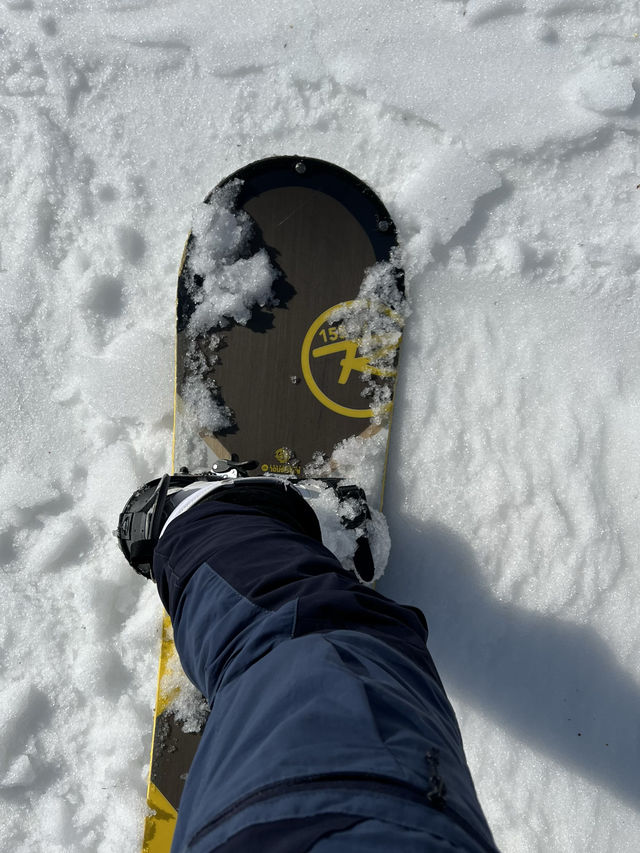 Niseko สัมผัสอากาศหนาวที่หิมะที่นุ่มที่สุด