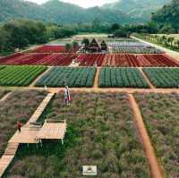 Hokkaido Flower Park Khaoyai
