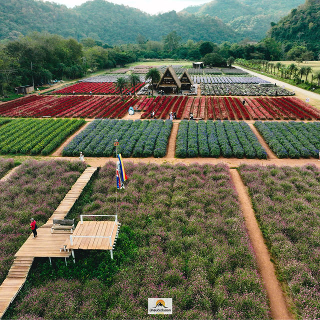 Hokkaido Flower Park Khaoyai