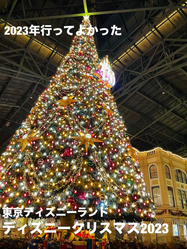【2023年行ってよかった！】40周年イベント開催中のディズニーランドクリスマス2023