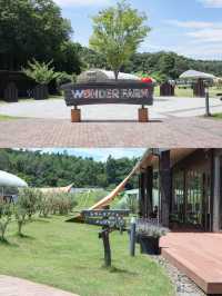 【福島】トマトのテーマパーク！？🍅🎢 フォトスポットからトマト狩りまで楽しめる穴場スポット🥫✨ 