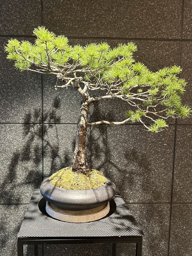 📍ホテルリソルトリニティ京都/京都