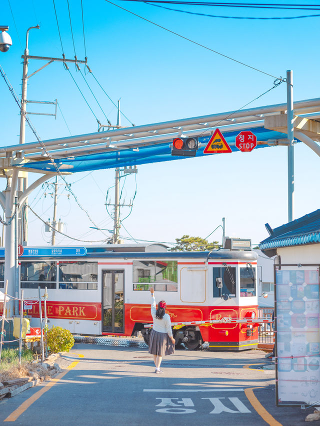 겨울바다 일본감성 부산 여행지 청사포🚞