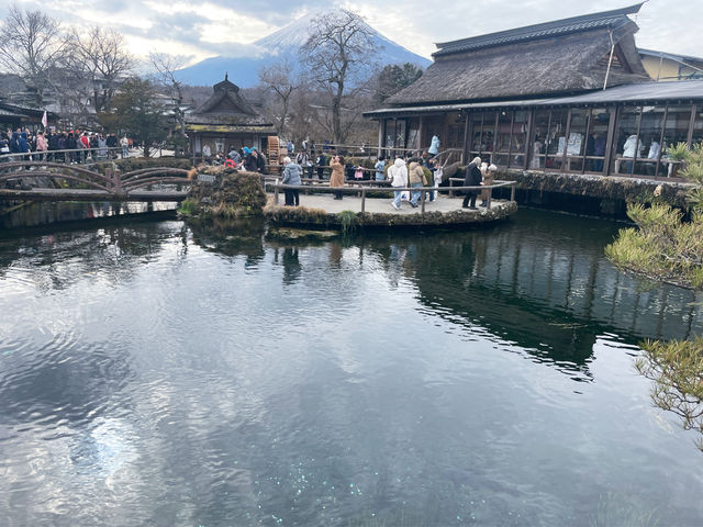 ชมวิวฟูจิหน้าหนาวที่หมู่บ้านน้ำใส 🗻