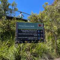 【シドニー観光】必ず抑えたいスポット「ブルーマウンテンズ」🇦🇺