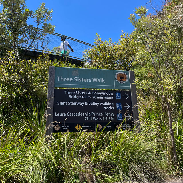 【シドニー観光】必ず抑えたいスポット「ブルーマウンテンズ」🇦🇺 【シドニー観光】必ず抑えたいスポット「ブルーマウンテンズ」🇦🇺