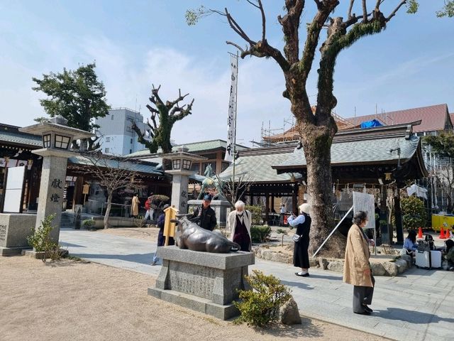 ⛩️후쿠오카 중심지에 있는 구시다 신사⛩️