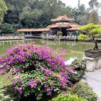 深圳仙湖植物園，愛花人士必到景點