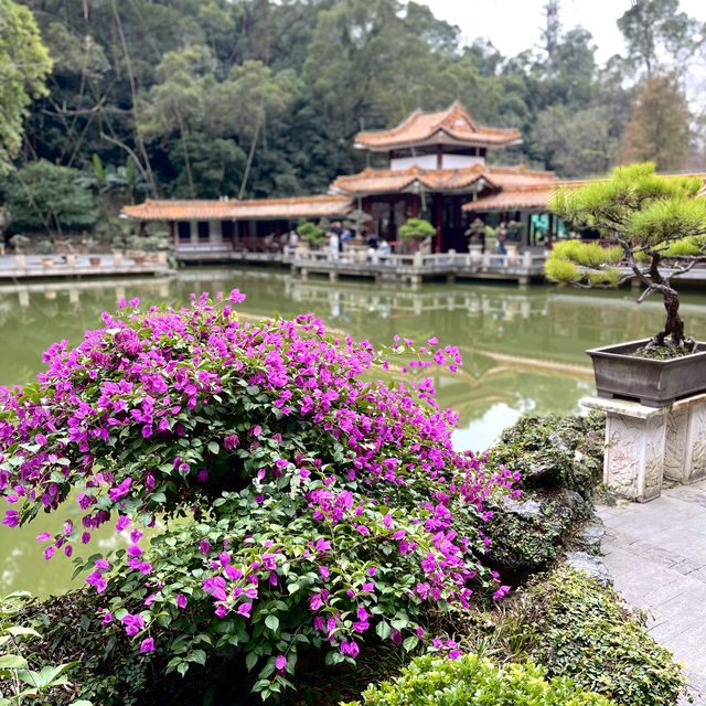 深圳仙湖植物園，愛花人士必到景點