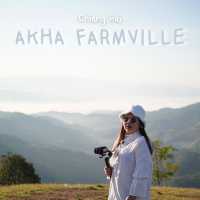 ✨Akha Farmville 🐑 ฟาร์มสุดฮิต ดอยช้าง เชียงราย