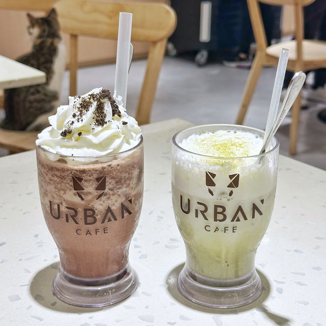 環境寬敞🥰食物美味🐈嘅貓Café