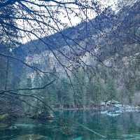 Blausee lake in the valley 