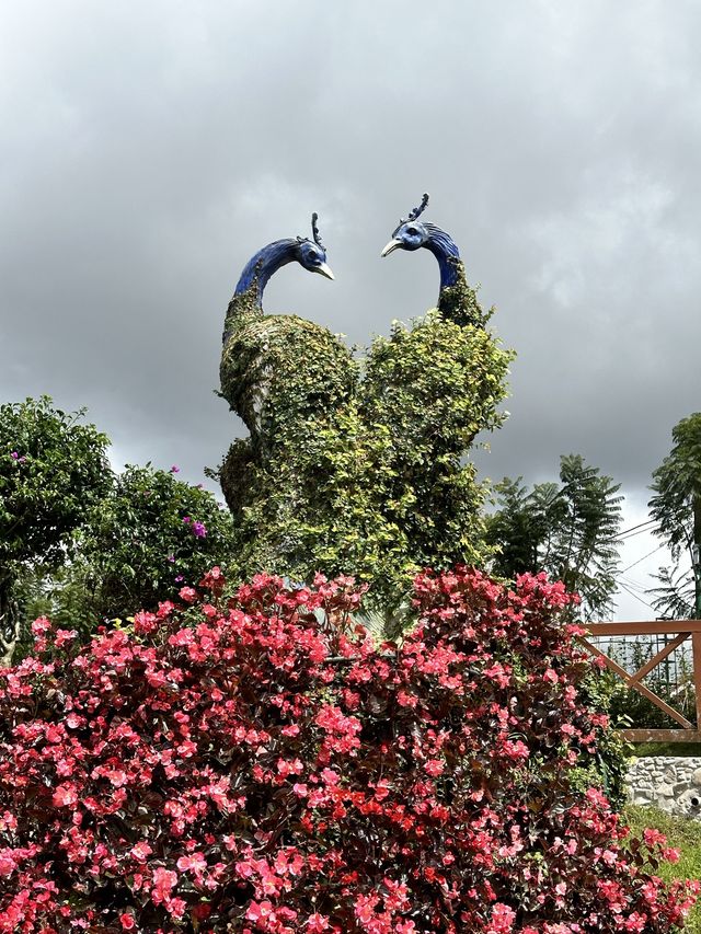 Fresh Garden at Dalat Vietnam 