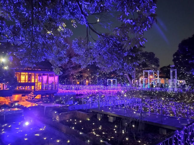 Enoshima Candle Light