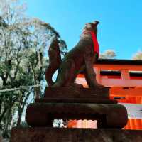 Memorable torii gates at the famous Kyoto Shinto s