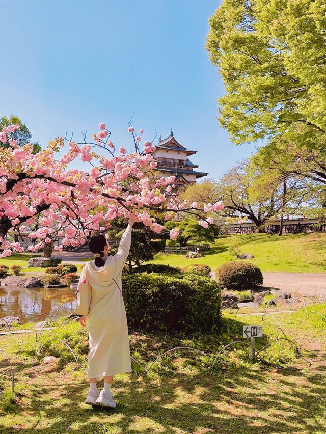 【長野】お城とサクラの絶景穴場スポット