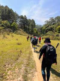 Ta Nang Phan Dung - beautiful nature camp hike