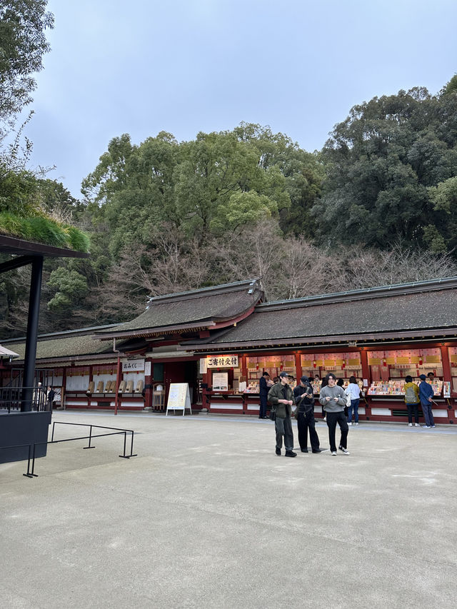 梅が綺麗に咲く福岡の太宰府天満宮