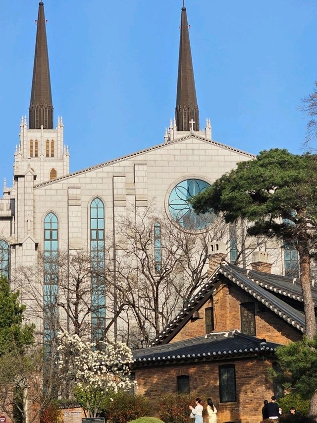 봄꽃명소:청라언덕목련포토존