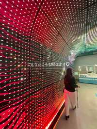【東京】【品川】リトルマーメイドっぽいデジタルアート水族館🌴🐬✨