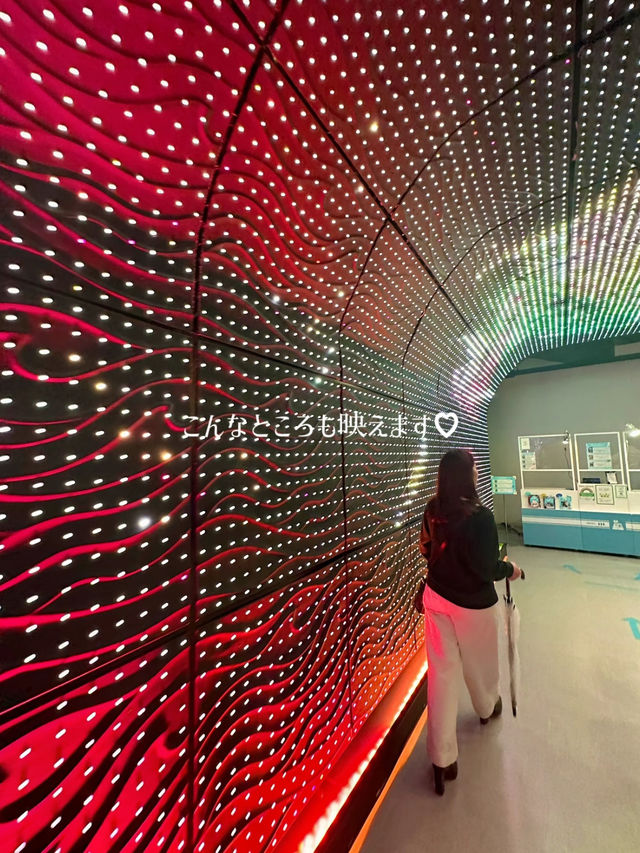 【東京】【品川】リトルマーメイドっぽいデジタルアート水族館🌴🐬✨