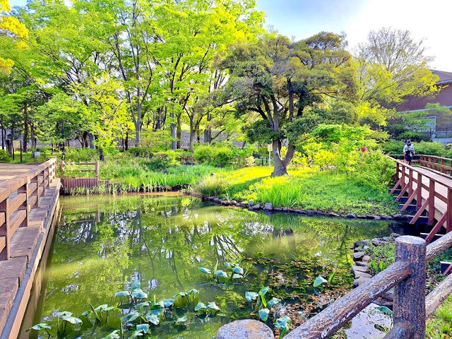 Ukima Park