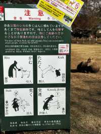 🦌 Oh My Nara Deer! 
