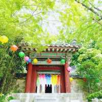 한국의 역사를 담은 경주 불국사를 다녀오며 ☸️