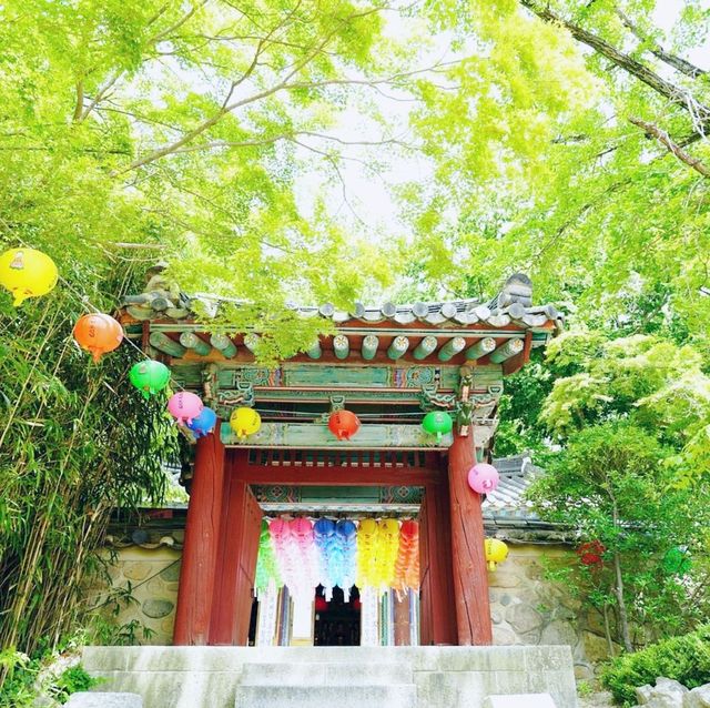한국의 역사를 담은 경주 불국사를 다녀오며 ☸️