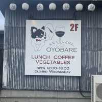 【鳥栖ランチ】からだ喜ぶランチ