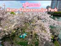 Kema Sakuranomiya Park