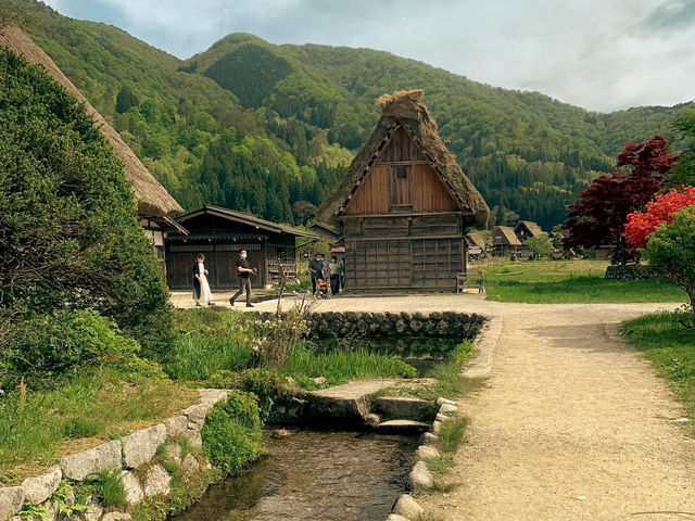 Shirakawago ฤดูใบไม้ผลิ