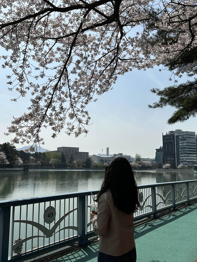 화창한 봄☀️ 산책하기 좋은 창원 ‘용지호수공원’