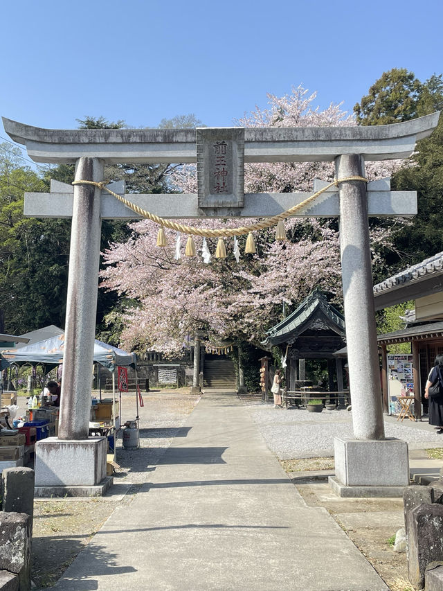 【前玉神社／埼玉県】古墳上に建つ社殿と花手水