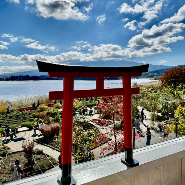 Oishi Park - Lake Kawaguchiko, Japan