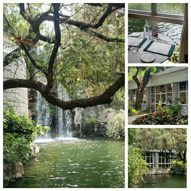 香港公園隱世餐廳💟Pondside💟