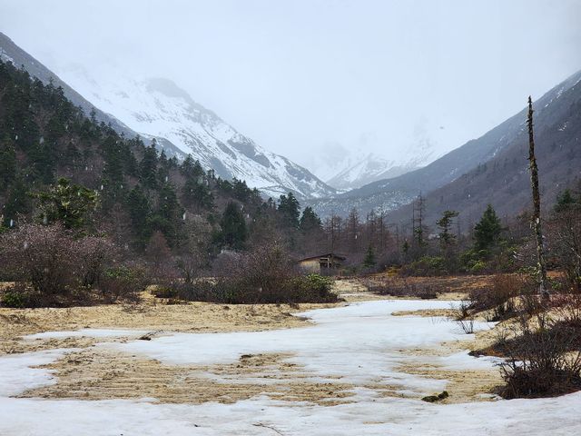 Huanglong