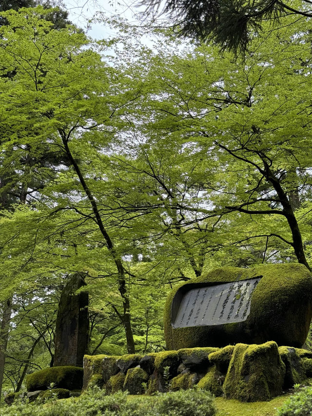 【福井・永平寺】言わずと知れた曹洞宗の総本山