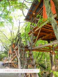 【栃木/那須】一度は泊まってみたいツリーハウス🌲