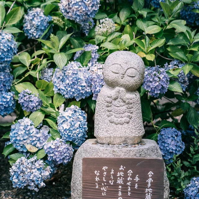 【福岡景點】星之花公園～漫步賞景