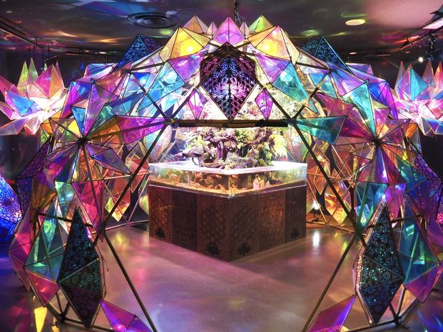 【奈良】西日本最大の金魚ミュージアム