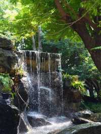 คาเฟ่ที่เกินความคาดหมาย The Gardener Cafe