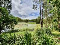 Cattana Wetlands