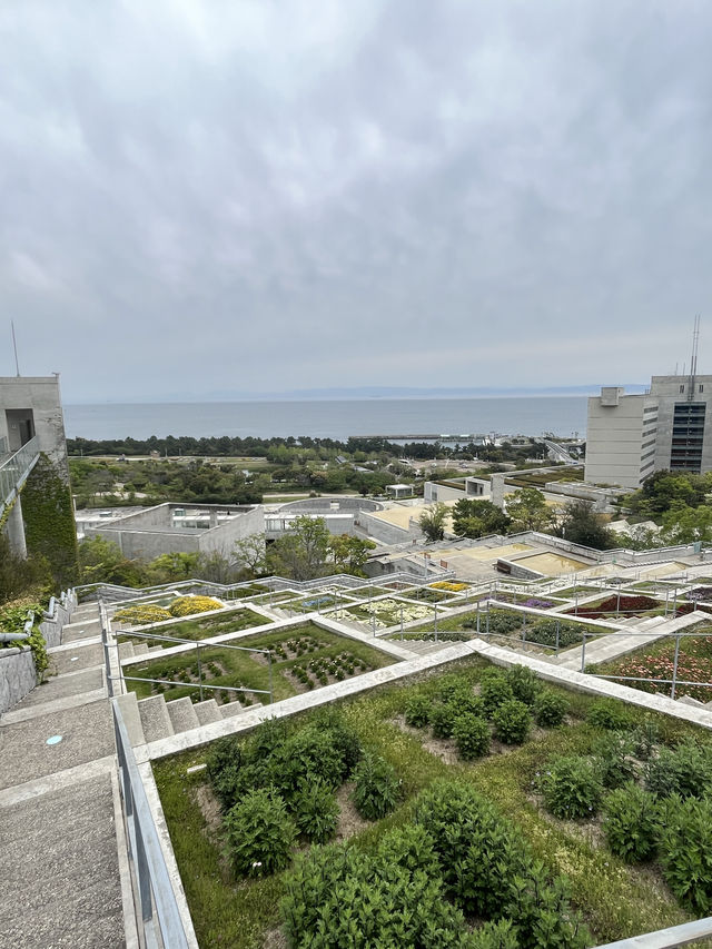 【淡路島観光】海を見渡せる100個の花壇の花々に癒される🌸🌼