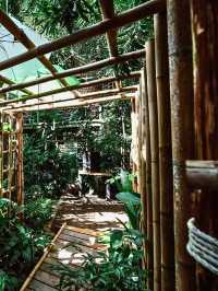 🌳ผ่อนคลายสบายใจกับ คาเฟ่บ้านต้นไม้ ☕